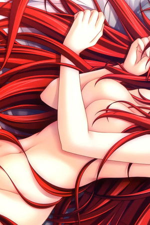 High School DxD