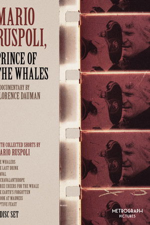 Mario Ruspoli, prince des baleines et autres raretés