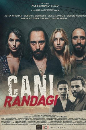 Cani randagi