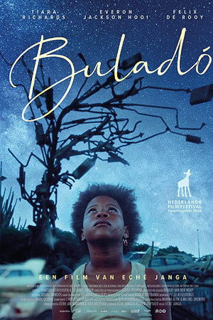 Uçan Balık Boğulmaz