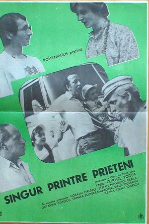 Singur printre prieteni