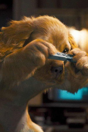 Kediler ve Köpekler 2: Kitty Galore'un İntikamı