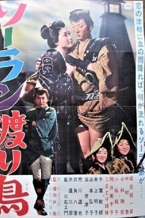 ソーラン渡り鳥