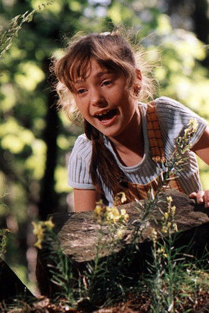 Tajemství proutěného košíku