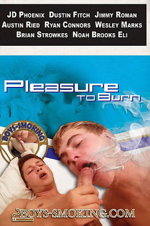 Pleasure to Burn