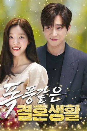 폭풍같은 결혼생활