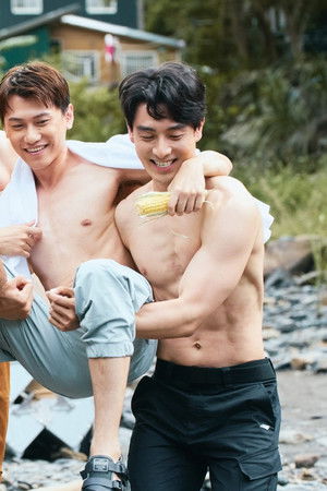 我和我的鋼四壁