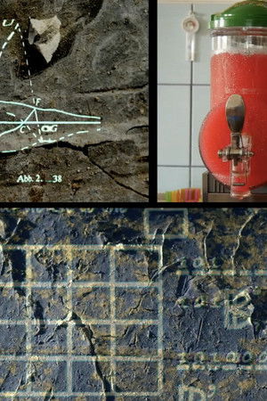 Im Gestein der Zeichen