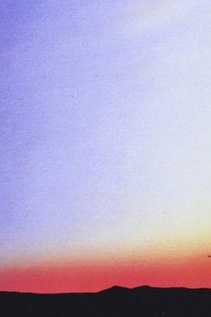 The Executioner's Song