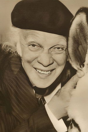 O Velho, o Menino e o Burro