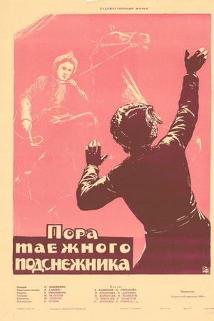 Пора таёжного подснежника