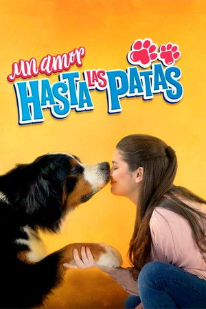 Un amor hasta las patas