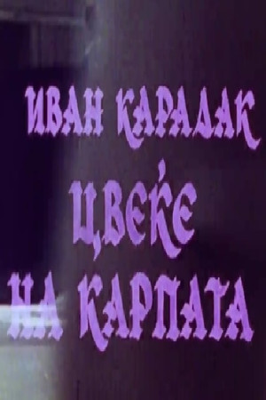 Цвеќе на карпата