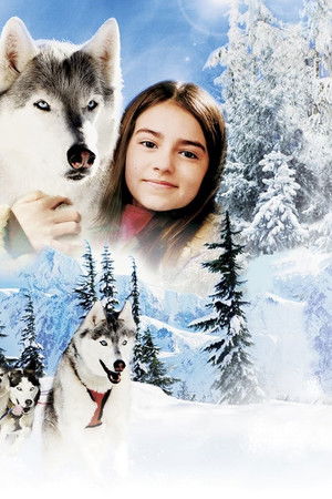 Vahşetin Çağrısı