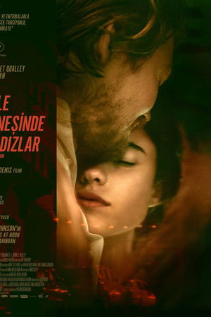 Öğle Güneşinde Yıldızlar