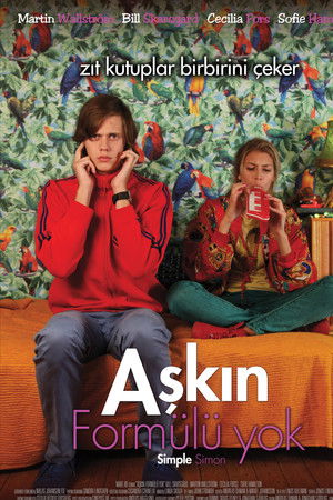 Aşkın Formülü Yok