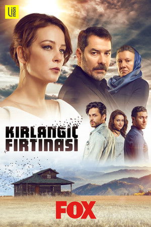 Kırlangıç Fırtınası