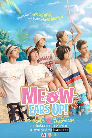 น้องเหมียว ในห้องผม