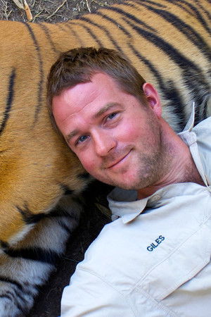 Tigers About the House