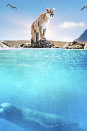 Patagonia: Life on the Edge of the World