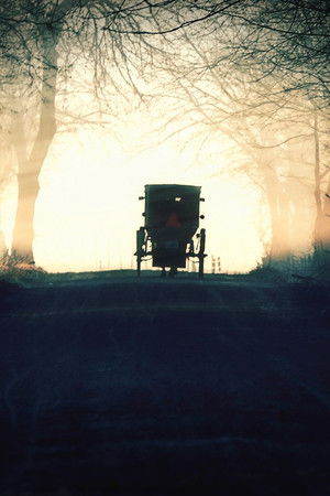 Murder in Amish Country