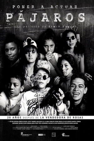 Poner a actuar pájaros