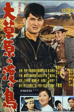 大草原の渡り鳥