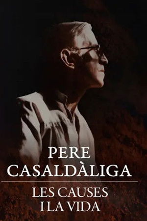 Pere Casaldàliga. Les causes i la vida
