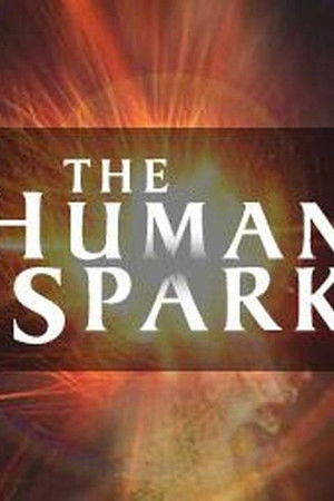 The Human Spark
