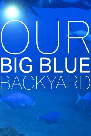 Our Big Blue Backyard
