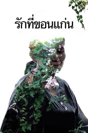 İhtişam Mezarlığı