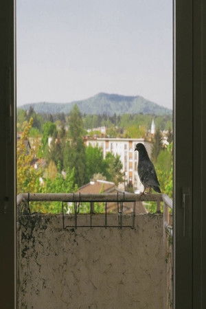 Kateri dan sploh je?