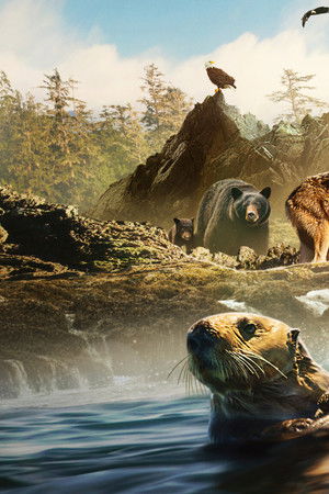 Deniz Kurtlarının Adası