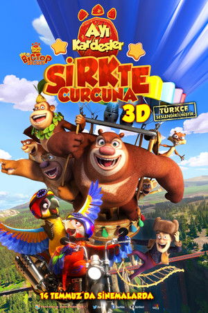 Ayı Kardeşler: Sirkte Curcuna