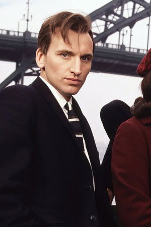 Our Friends in the North