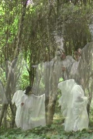 Il fascino dell'impossibile