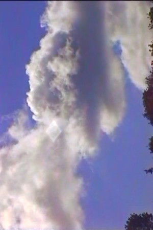 Spring (The Laundry Lesson)