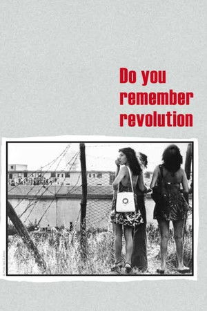 Do You Remember Revolution?