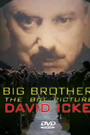 Big Brother: The Big Picture