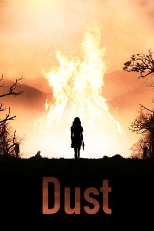 Dust