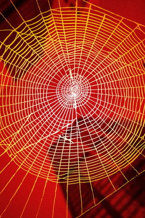 Icons Unearthed: Spider Man