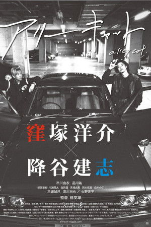 アリーキャット