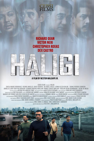 Haligi