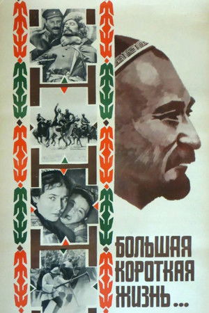 Большая короткая жизнь