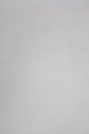 24 Frames per Second