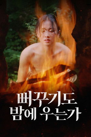 뻐꾸기도 밤에 우는가