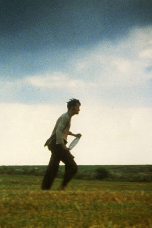 Den enfaldige mördaren