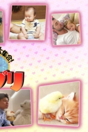 キセキの動画大集合！“神”映像グランプリ