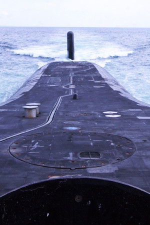 Submarine Life Under the Waves