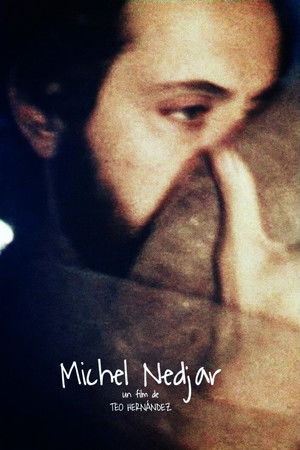 Michel Nedjar